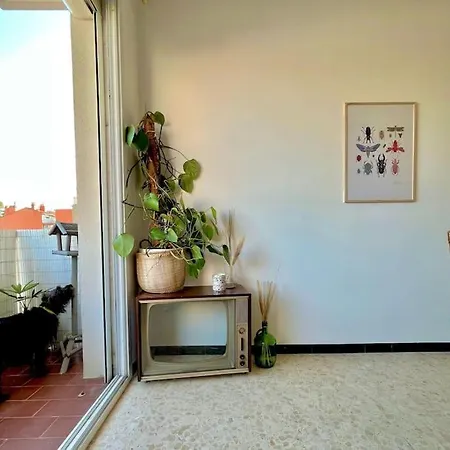 Lumineux & Spacieux Apartment Perpignan